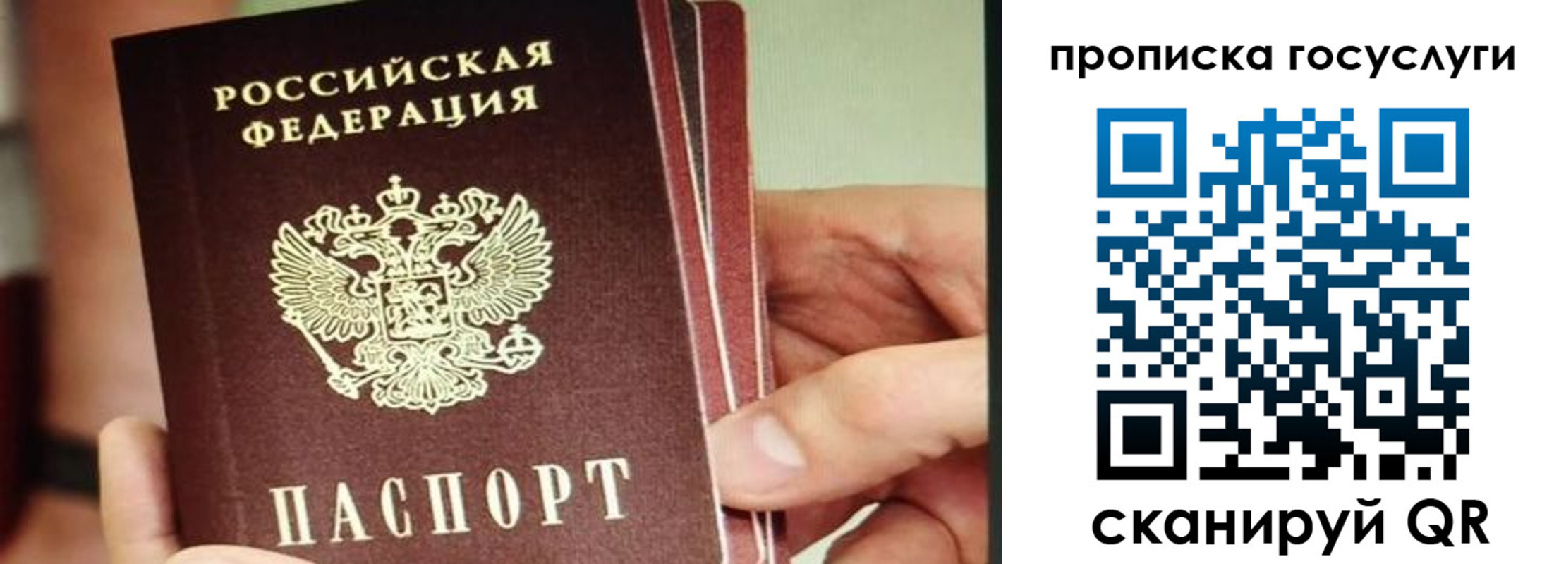 пропишу в квартире в Великом Новгороде